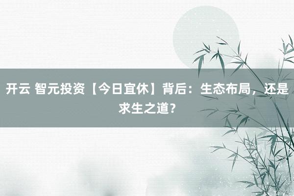 开云 智元投资【今日宜休】背后：生态布局，还是求生之道？