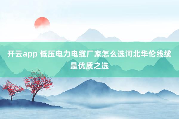 开云app 低压电力电缆厂家怎么选河北华伦线缆是优质之选