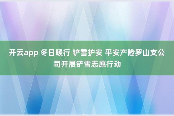 开云app 冬日暖行 铲雪护安 平安产险罗山支公司开展铲雪志愿行动