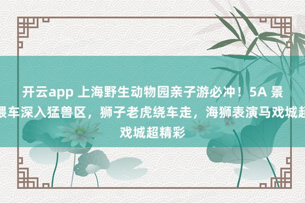 开云app 上海野生动物园亲子游必冲！5A 景区投喂车深入猛兽区，狮子老虎绕车走，海狮表演马戏城超精彩