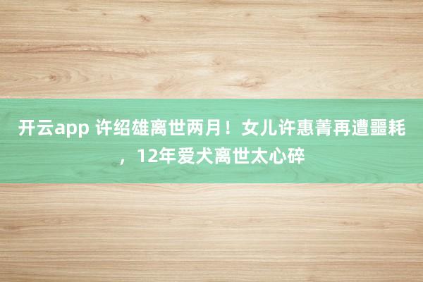 开云app 许绍雄离世两月！女儿许惠菁再遭噩耗，12年爱犬离世太心碎