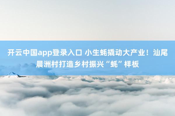 开云中国app登录入口 小生蚝撬动大产业！汕尾晨洲村打造乡村振兴“蚝”样板