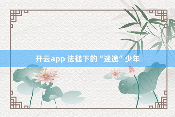 开云app 法槌下的“迷途”少年