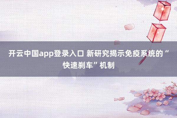 开云中国app登录入口 新研究揭示免疫系统的“快速刹车”机制