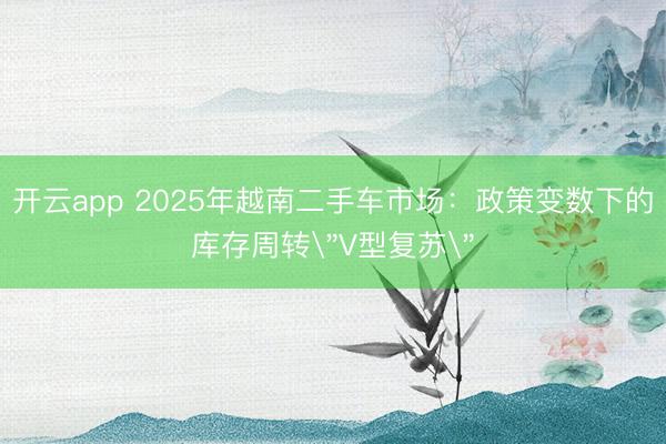 开云app 2025年越南二手车市场：政策变数下的库存周转