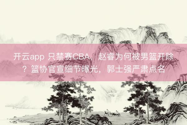 开云app 只禁赛CBA，赵睿为何被男篮开除？篮协官宣细节曝光，郭士强严肃点名